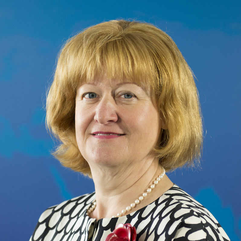 Prof Dr Liesbeth Lijnzaad